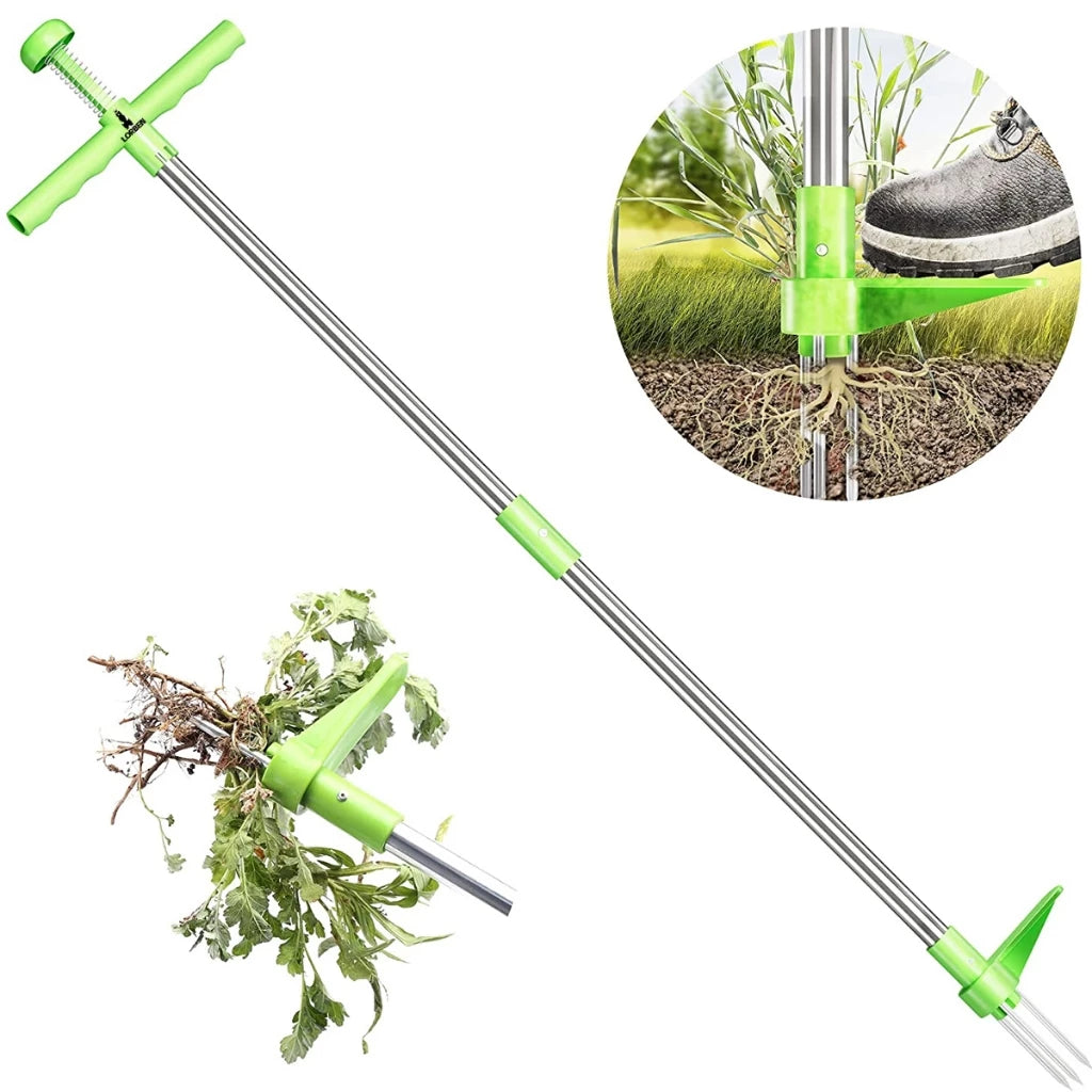 RancaMato® + Guia de Jardinagem 2025 (GRÁTIS)