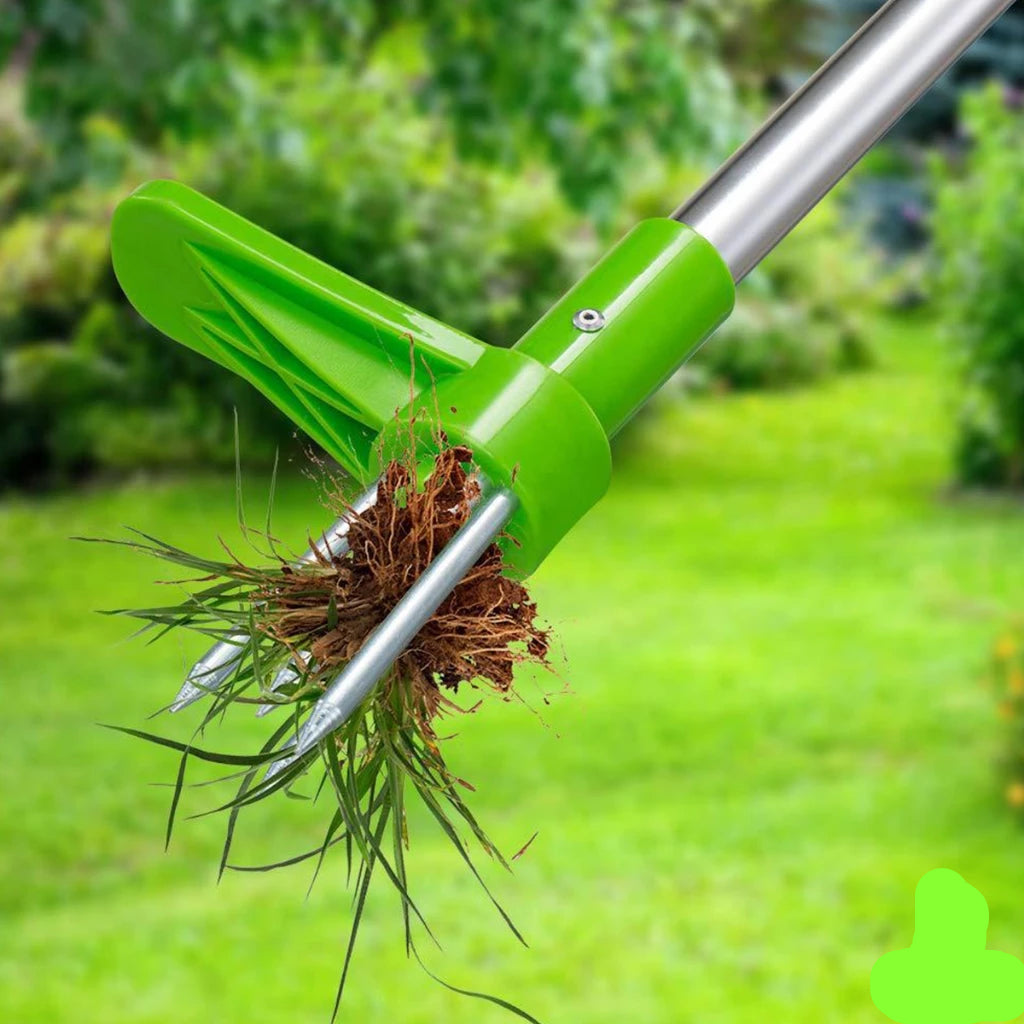 RancaMato® + Guia de Jardinagem 2025 (GRÁTIS)