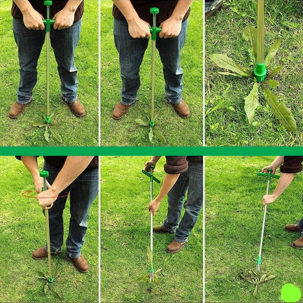RancaMato® + Guia de Jardinagem 2025 (GRÁTIS)